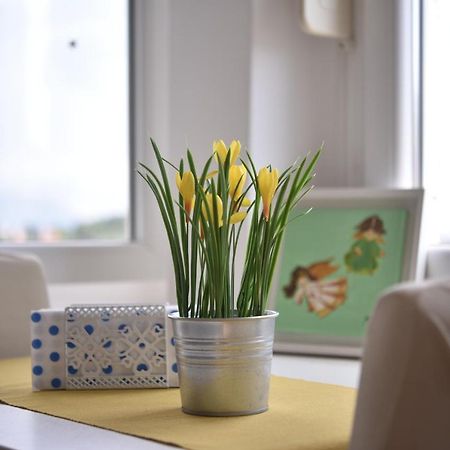 The Dream On Apartment Dubrovnik Extérieur photo